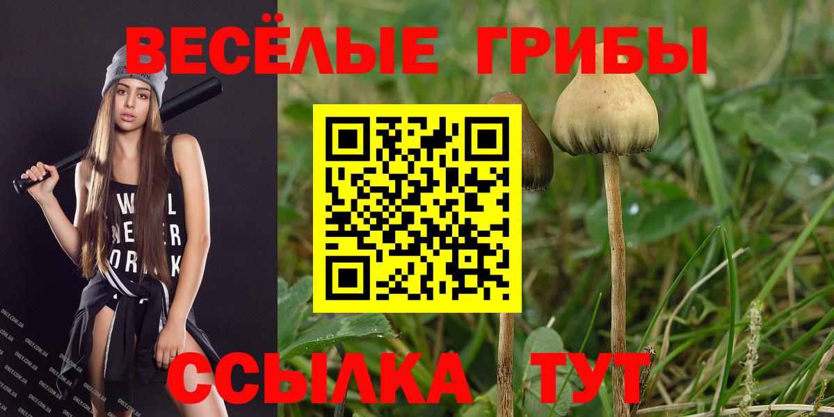 Псилоцибиновые грибы Magic Shrooms  Псилоцибиновые грибы ЛСД  Вход с VPN  Алейск 